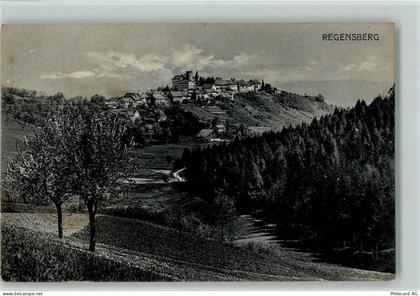 8158 Regensberg - 13113060