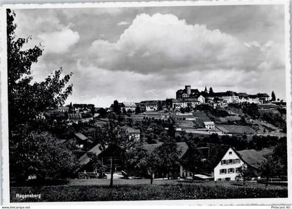 8158 Regensberg - Gesamtansicht - 50746294