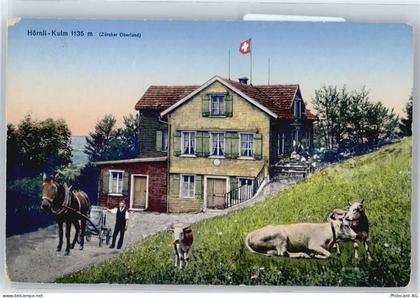 8712 Stäfa Uelikon (Stäfa) - Kutsche - 50672532