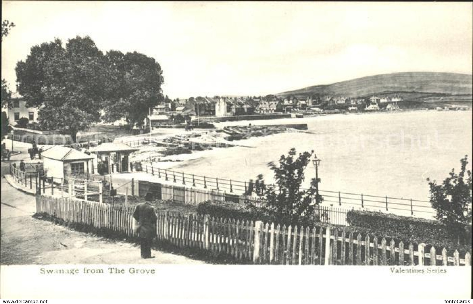 Swanage Purbeck Swanage The Grove