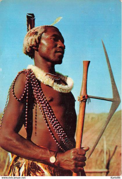 swaziland , eswatini * swazi warrior * guerrier tribu tribe * éthnique ethnic ethno