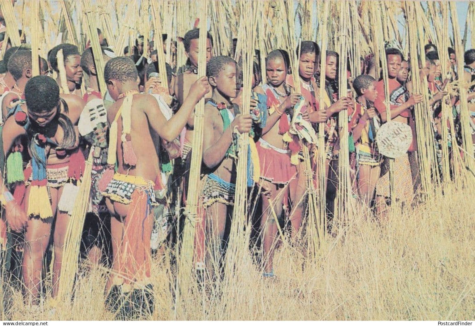 Swaziland Reed Dance Ceremony Africa Postcard