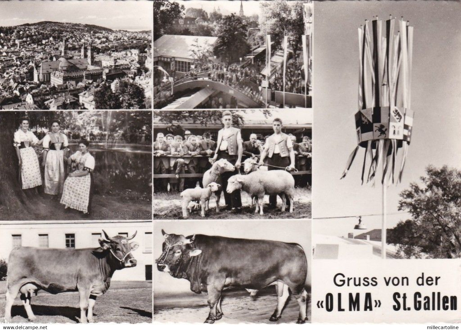 * SWITZERLAND - Gruss von der "Olma" St.Gallen 1966
