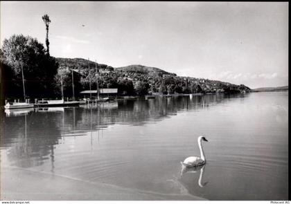 5712 Beinwil am See - 50464072