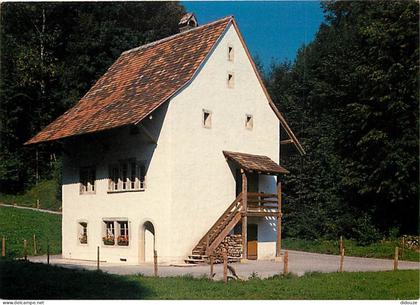 Carte Postale - Suisse - AG Argovie - Freilichtmuseum Ballenberg - aus von Villnachern AG - CPM - Carte Neuve - Voir Sca