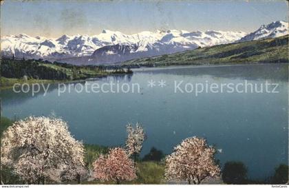 Hallwilersee im Seetal mit Alpenpanorama