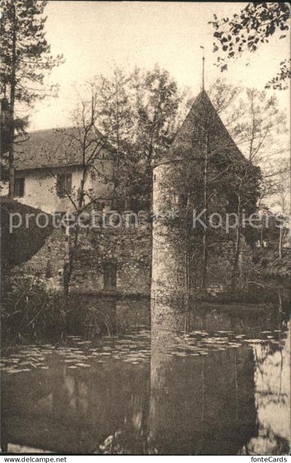 Hallwilersee Schloss Hallwil Kuranstalt Brestenberg