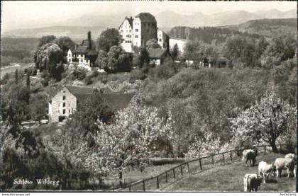 Wildegg Schloss Wildegg