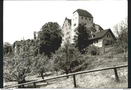 Wildegg Schloss Wildegg  o