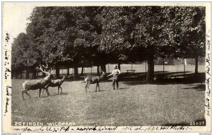 Zofingen - Wildpark
