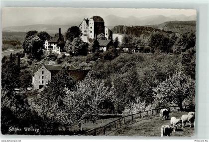 5103 Wildegg - Schloss - 10620042