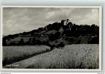 5103 Wildegg - Schloss Wildegg - 10196495
