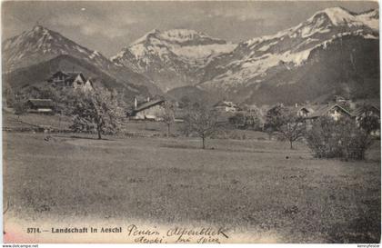 Landschaft in Aeschi