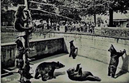 SUISSE - BERNE - LA  FOSSE AUX OURS