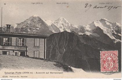 Suisse - GUNDLISCHWAND - Schynige Platte - Aussicht auf Berneralpen