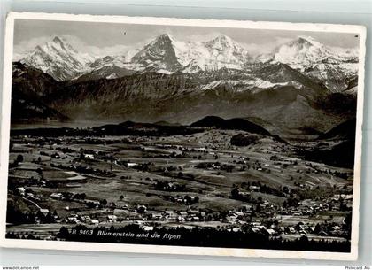 3638 Blumenstein Foto AK Feldpost Nr. 39 - 38210162