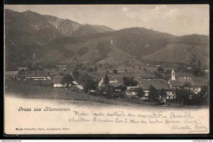 AK Blumenstein, Teilansicht