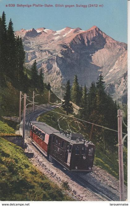 Suisse - GUNDLISCHWAND - Schynige Platte Bahn - Blick gegen Sulegg