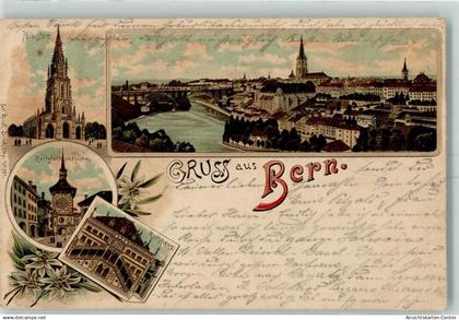 13149344 - Bern Berne