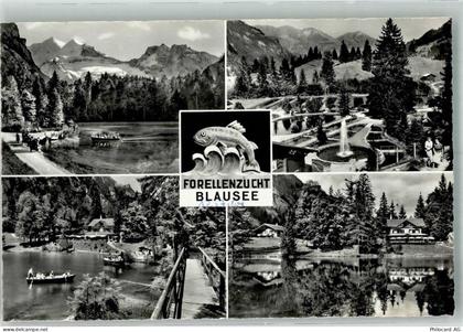 3716 Kandergrund Foto AK Blausee Forellenzucht - 38224614