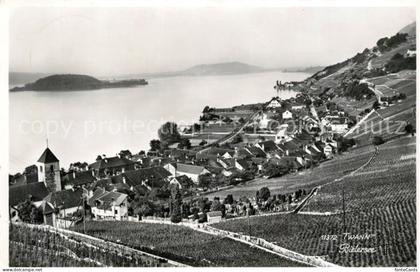 Bielersee Panorama