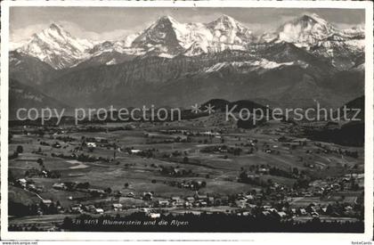 Blumenstein BE mit Alpenpanorama