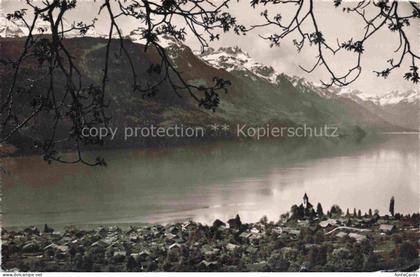 Brienz Brienzersee BE Brienzersee See Alpen Berge Ortschaft Kirche Baeume Schnee