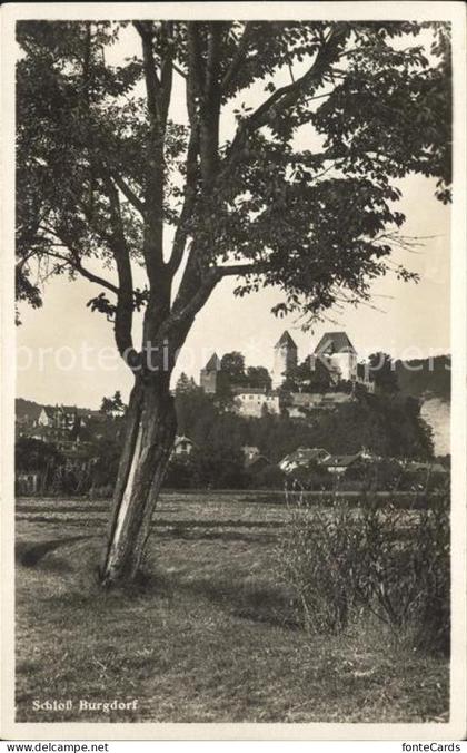 Burgdorf Bern Schloss Burgdorf