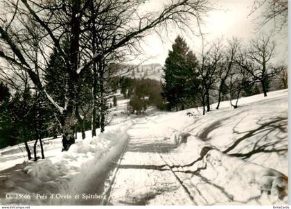 Pres-d Orvin BE et Spitzberg