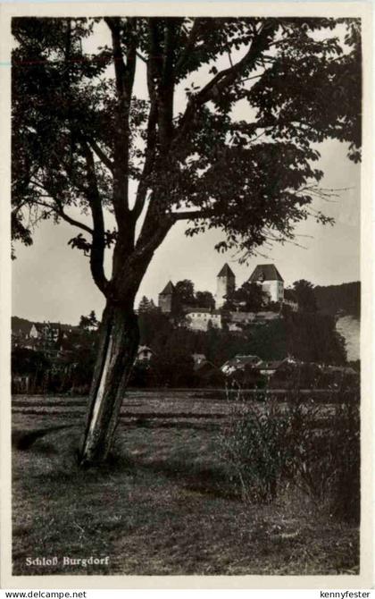 Schloss Burgdorf