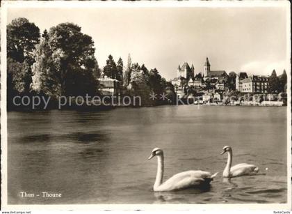 Thun Thoune Schwaene