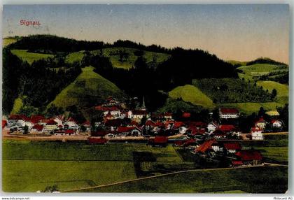 3534 Signau 1918 Foto AK - 10735135