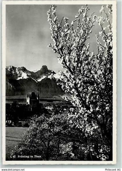 3600 Thun - 10311659
