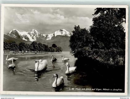 3600 Thun - 10311731