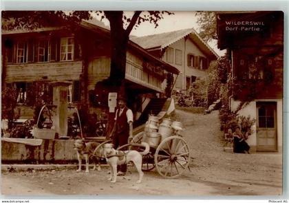 3812 Wilderswil - Hundekarren - 13601534