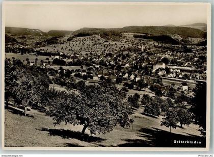 4460 Gelterkinden - 10624247