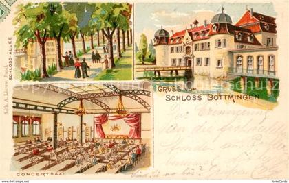 Bottmingen Schloss Allee Concertsaal