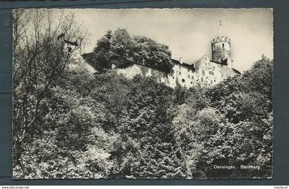 Oensingen - Bechburg  -  maca0874