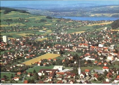 Reinach BL Reinach Fliegeraufnahme