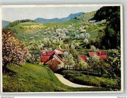 4437 Waldenburg - Im Baselbiet bei Waldenburg blühende Kirschbäume - 10162544