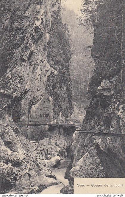 Broc, Gorges de la Jogne gl1905 #E0921