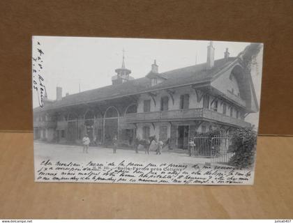 CELIGNY (Suisse) ferme animation