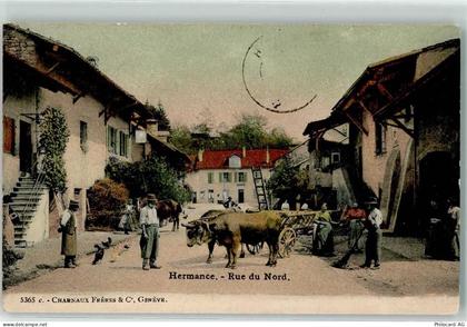 1248 Hermance 1906 - Rue du Nord Viehwagen Leiter Landwirtschaft Heu - 13249378