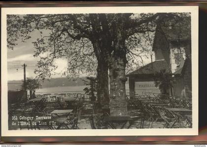 Cologny Terasse Hotel du Lion d Or