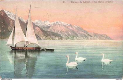 Lac Leman Genfersee GE Barque-du-Léman Dents-d Oche Genfersee Segelboot Schwaene