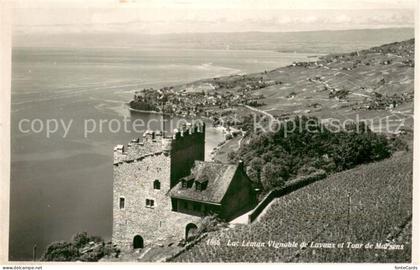 Lac Leman Genfersee GE Vignoblede Lavaux et Tour de Marsens