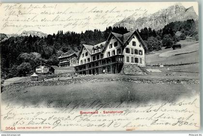 8784 Braunwald - 10203851