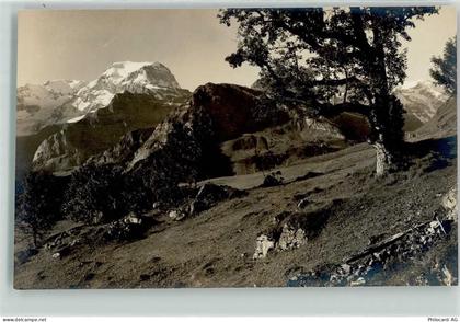 8784 Braunwald - 10619851