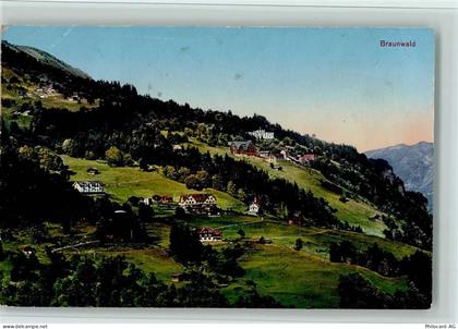 8784 Braunwald - 11063119