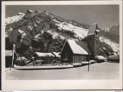 Elm GL Elm Fahnenstock